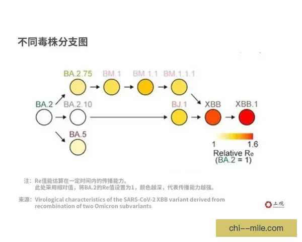 从数据到影响力解析维尼修斯在德甲进攻端的核心价值全面表现分析 从数据到影响力解析维尼修斯在德甲进攻端的核心价值全面表现分析