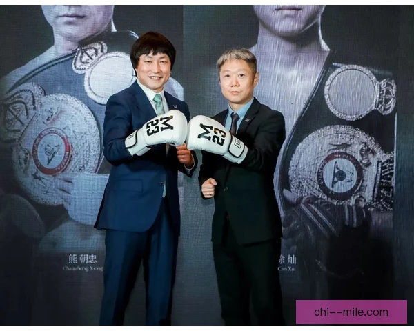 徐灿生涯成就定位，拳坛历史地位究竟如何评